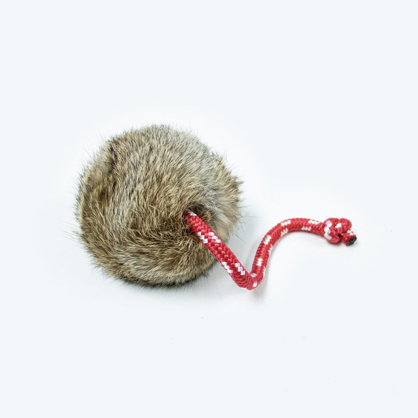 Long-Throw-Rabbit-Ball-3.jpg