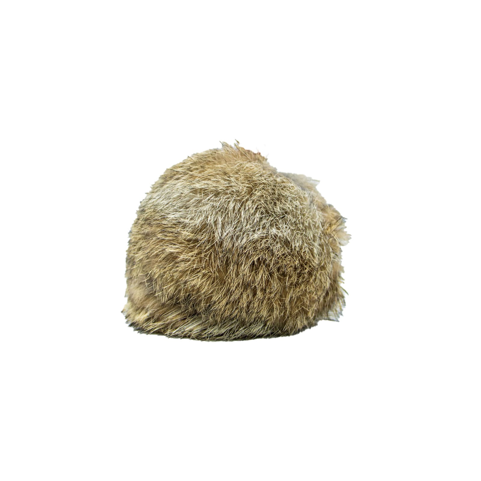 Rabbit-Fur-Ball.jpg