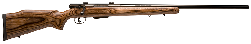 Savage Model 25 Rifle 17 Hornet
